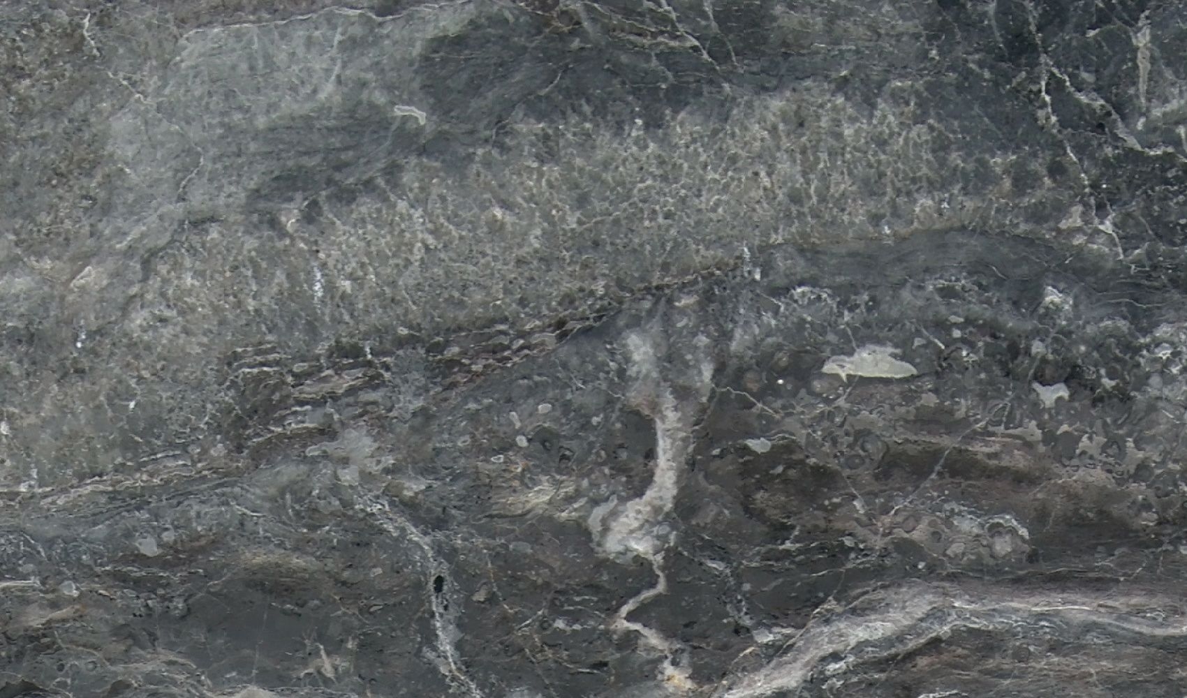 Arabescato Orobico New